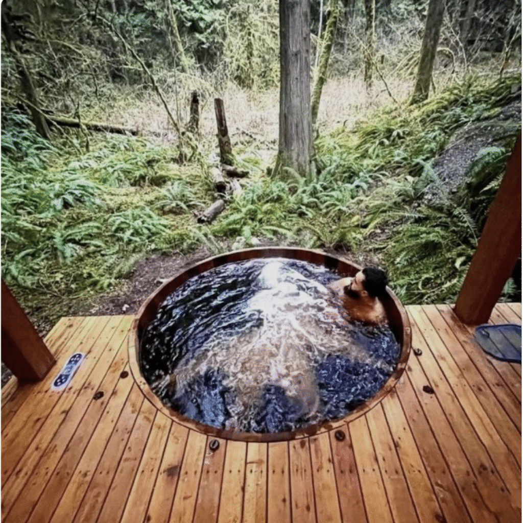 cabin mood board (21)